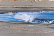 どうして海の水はしょっぱいの？謎を解く2つの有力な説