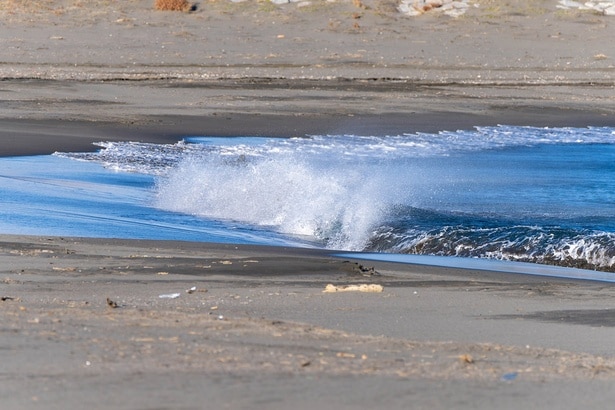 どうして海の水はしょっぱいの？謎を解く2つの有力な説