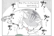 痛いなぁ、でも可愛いなぁ。おそらく愛情をもってグルーミングしてくれる猫