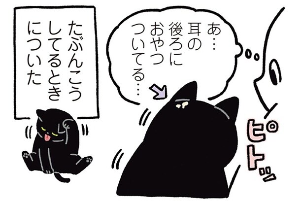 あ…耳の後ろにおやつついてる…