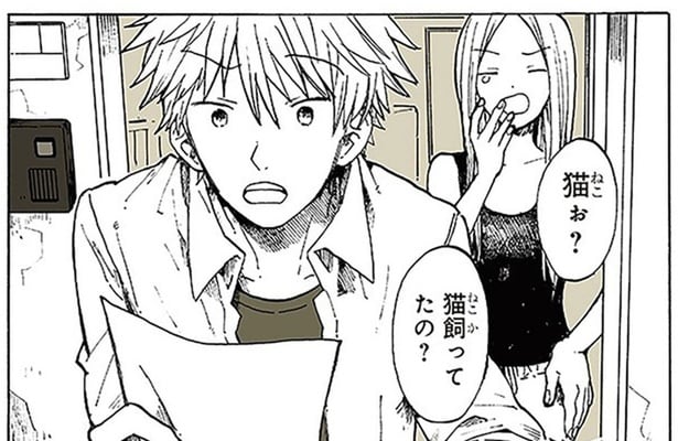 飼っていた子猫が行方不明。ご近所さんに猫を見ていないか尋ねてもらった「怪しい粉」