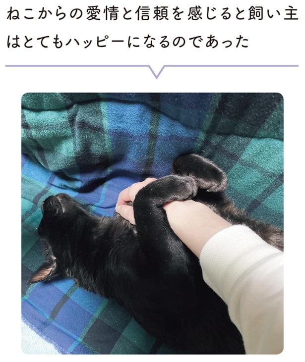 ねこからの愛情と信頼を感じると飼い主はとてもハッピーになるのであった