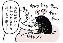 飲んでくれるだけでOK！黒猫ろんの水飲みタイムを全力サポート