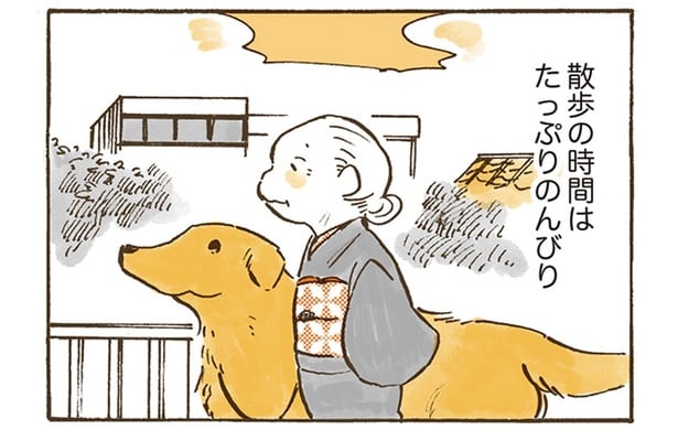 ゆっくり歩いて、ゆっくり座って。おばあちゃんとレトリバーの春散歩