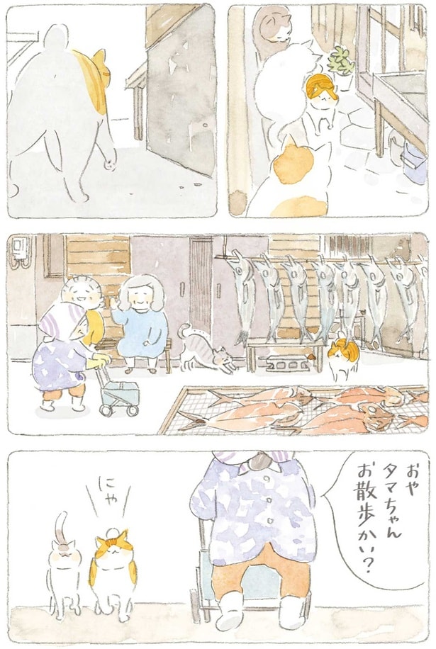 おやタマちゃん