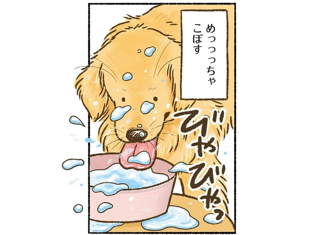 水めっっっちゃこぼす