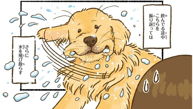 こちらを振り返っては