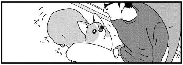 ちょうどいい枕!?ワンコが飼い主のそばに近寄ってきたわけ