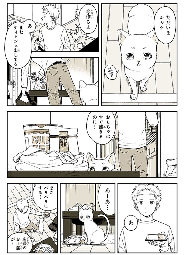 ただいまシャケ