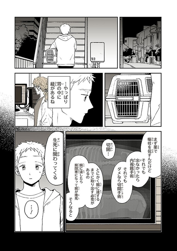 やっぱり胃の中に紐があるね