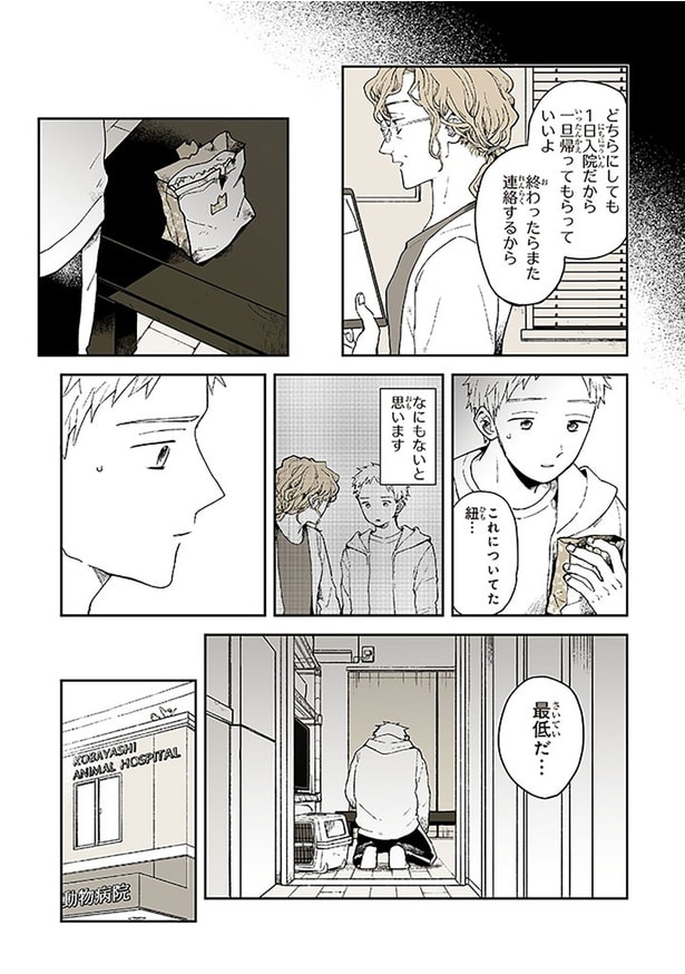 どちらにしても1日入院だから一旦帰ってもらっていいよ