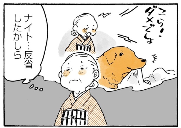 イタズラをしたレトリバーにおばあちゃんが注意「反省したかしら…」