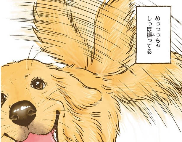 しっぽを振ってる