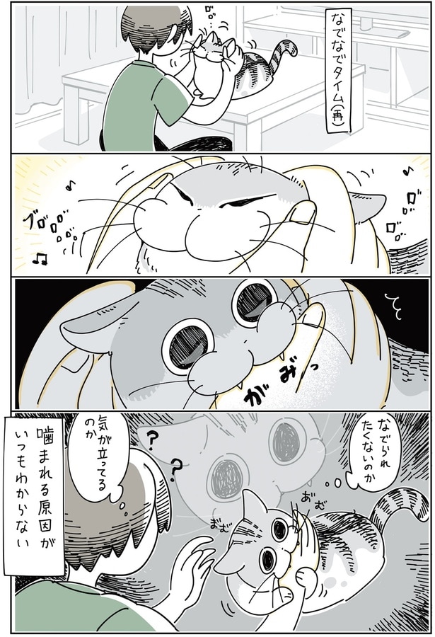 なでられたくないのか、気が立っているのか