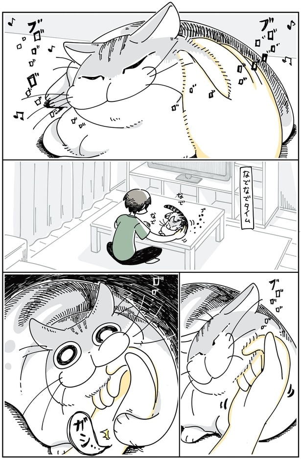 ネコが噛んできた