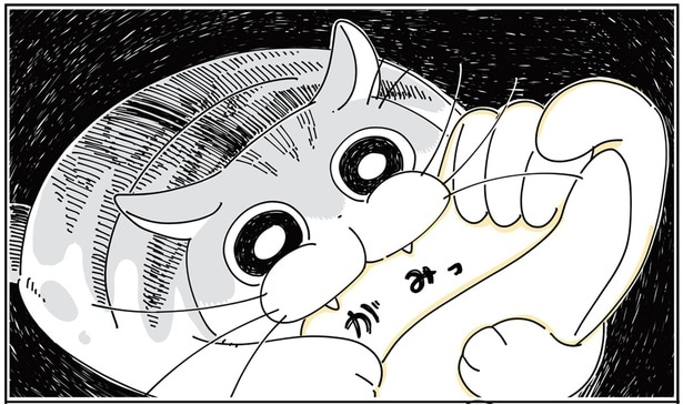 猫もご機嫌のなでなでタイム。しかし突然の噛み、撫で方が悪かったのかな？