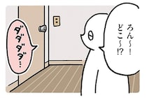 「ろん〜！どこ〜!?」飼い主の呼びかけにやってきた黒猫ろん