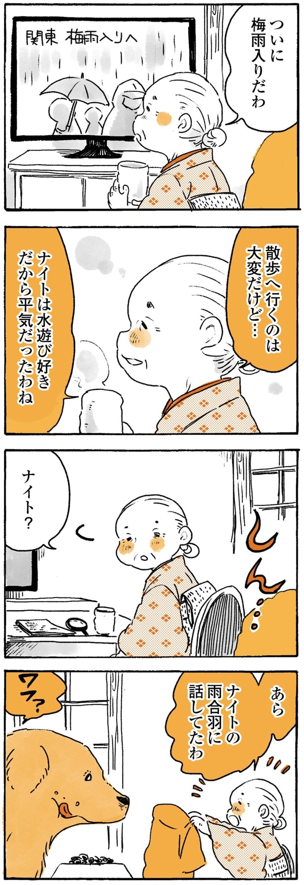 雨合羽に話してたわ