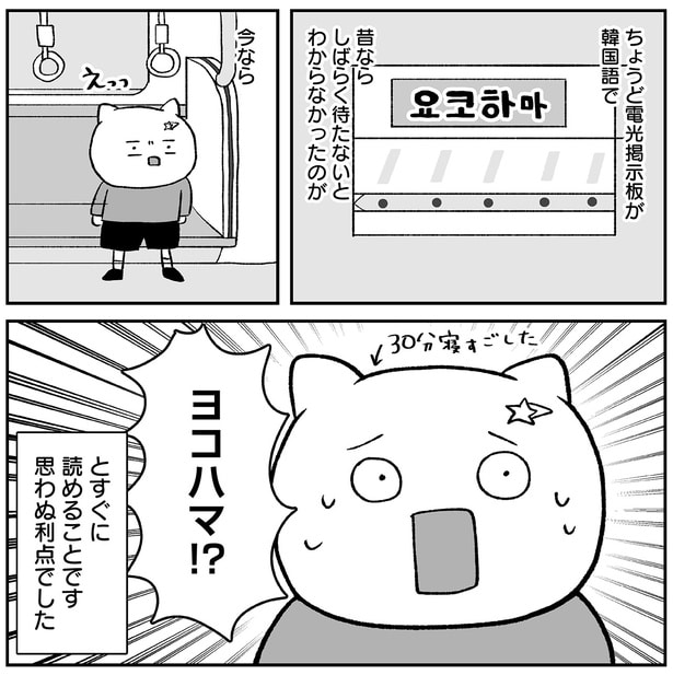 ヨコハマ!?