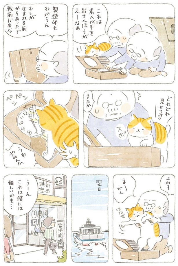 これは素人が手を出さんほうがえーなぁ