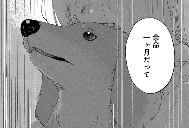 余命1ヵ月だって