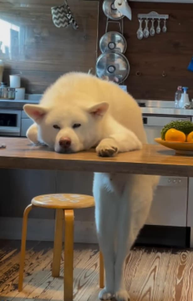 乱れない美脚▶ふだんの様子は？（⇒次へ）