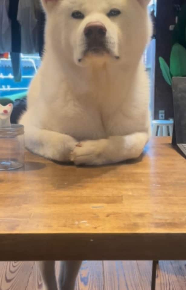 「立っているのは日常です」▶後ろ姿はどうなの！？（⇒次へ）