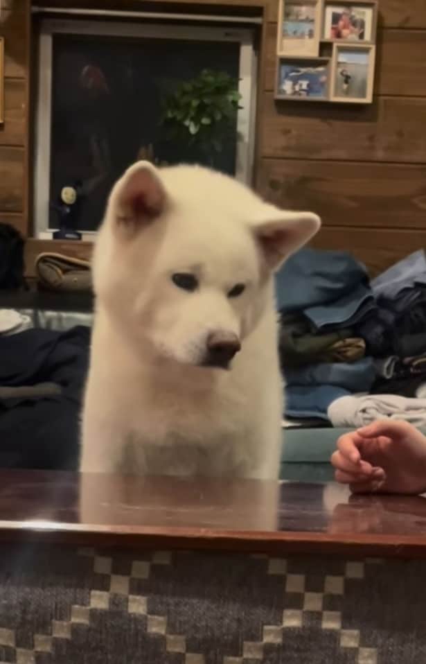 え…もうおしまい？▶ほっこりする表情も…（⇒次へ）