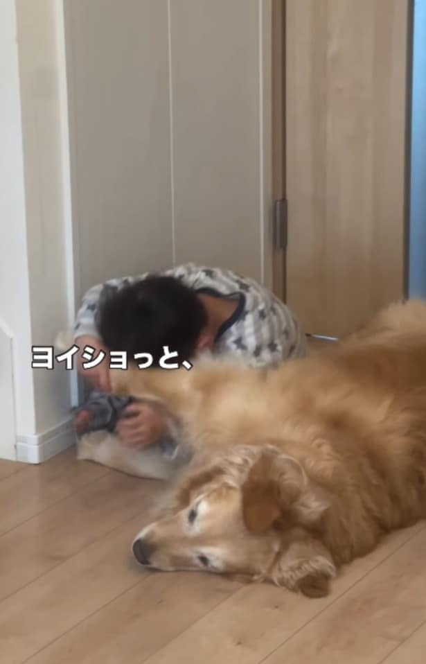 ワンちゃんの腕を持ち上げて懐に入り込む男の子（⇒次へ）