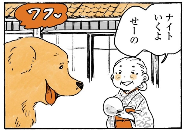 ナイトいくよせーの