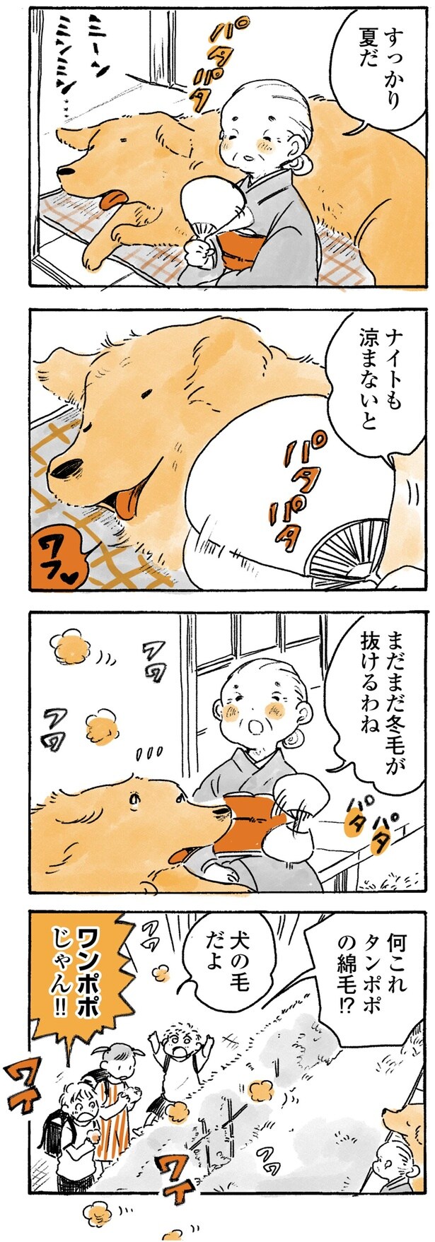 ワンポポじゃん!!