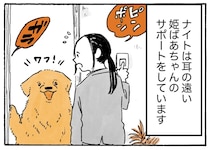 夏はうっかりしがち？耳の遠いおばあちゃんをサポートするレトリバー