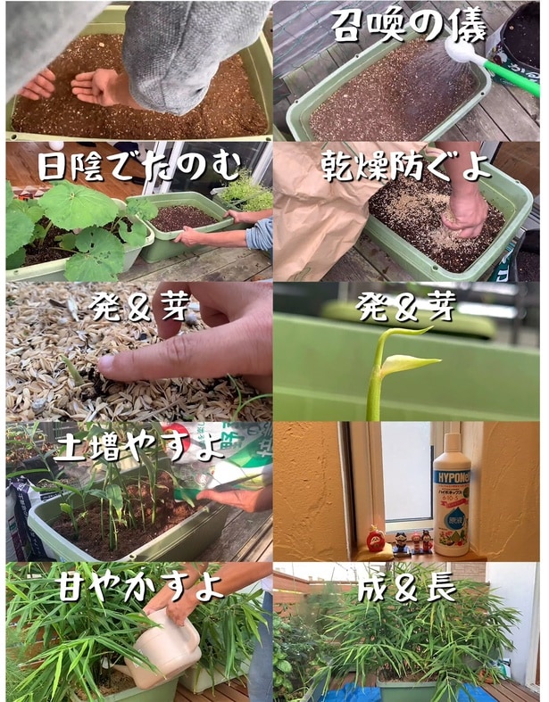 召喚の儀式▶︎成長の軌跡(⇒次へ)