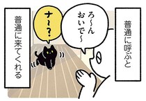 呼び方に応じて動きも変化！飼い主のテンションを読む黒猫ろん