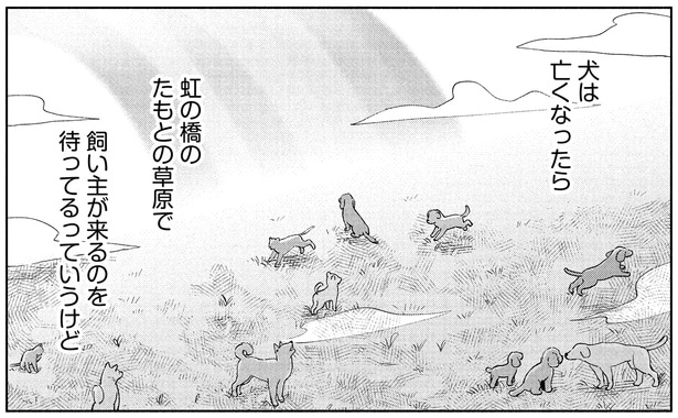 犬は亡くなったら…