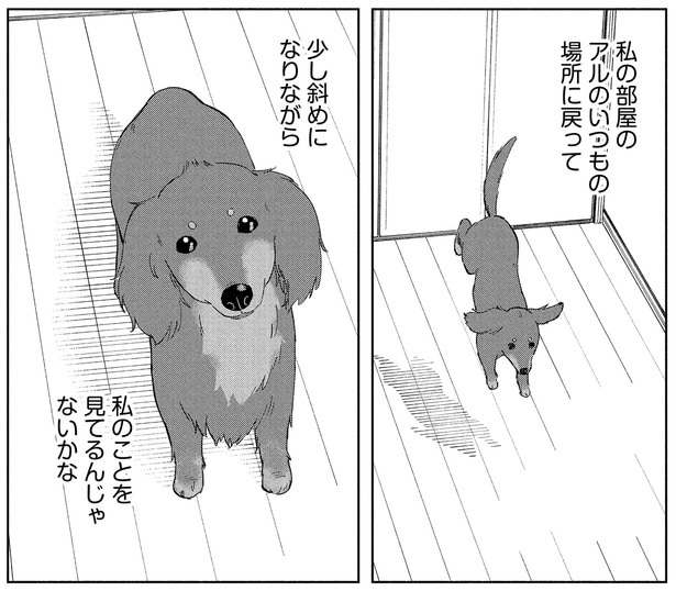 いつもの場所に戻って