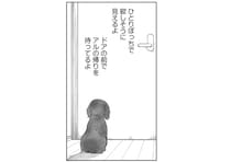旅立ってしまった家族の帰りを待っているの？ 遺された犬がドアの前に座っていて／アルへ（5）