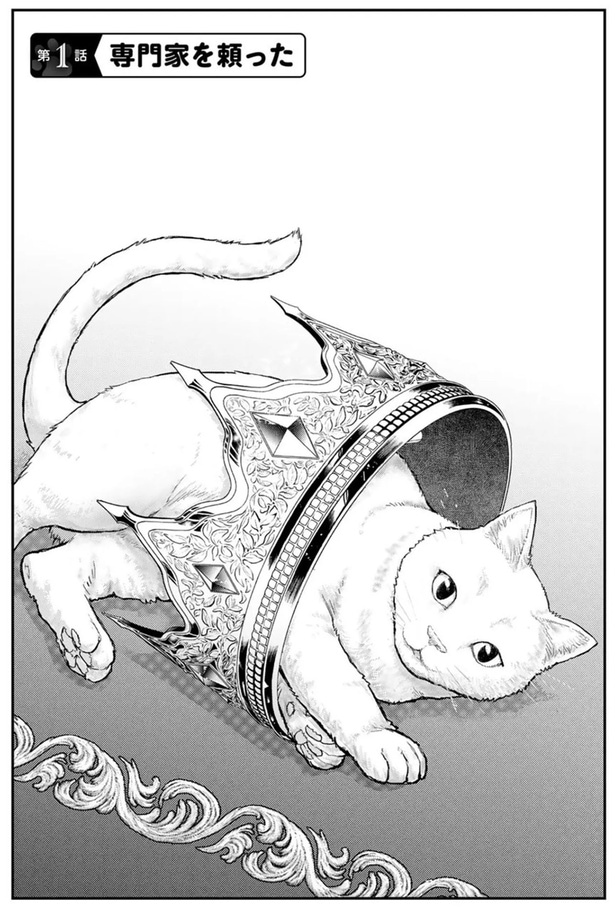 専門家を頼った