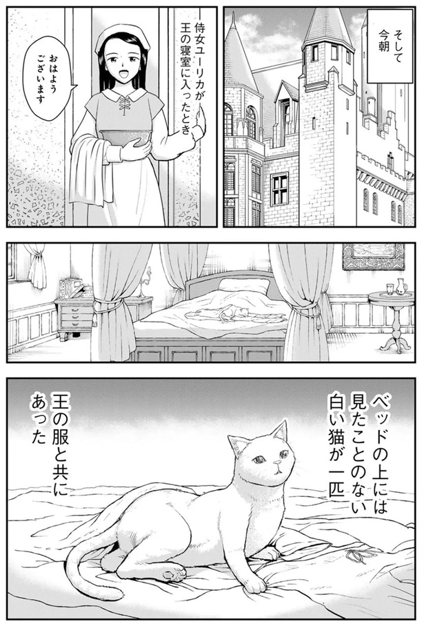 ベッドの上には見たことのない白い猫が一匹