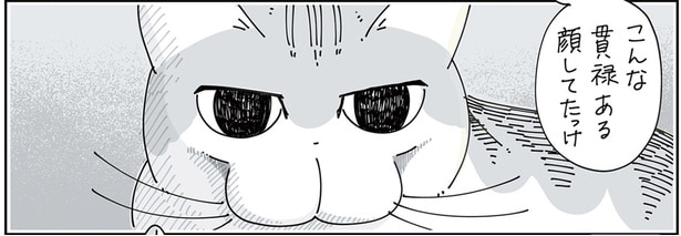 見るたびに表情や体の形が変わってる? ちらちら見る飼い主のちょっとした楽しみ