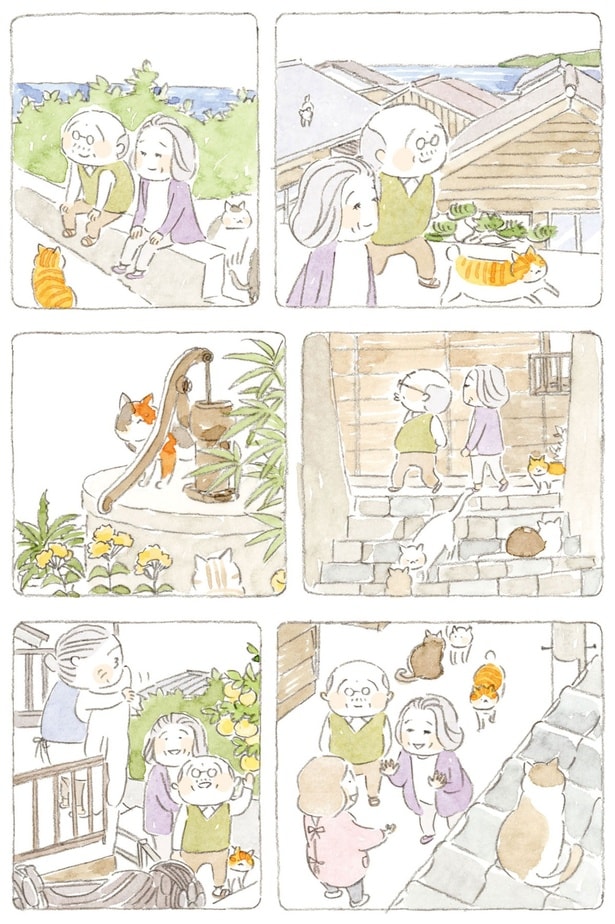 見慣れた島の景色