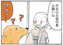 お留守番はイヤ！おばあちゃんと一緒にいたいレトリバーのアピール