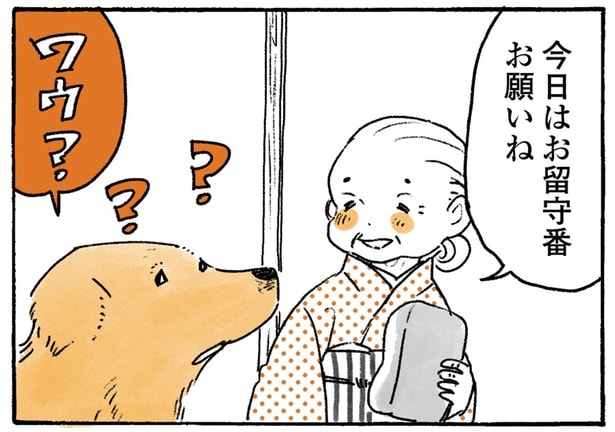 お留守番はイヤ!おばあちゃんと一緒にいたいレトリバーのアピール