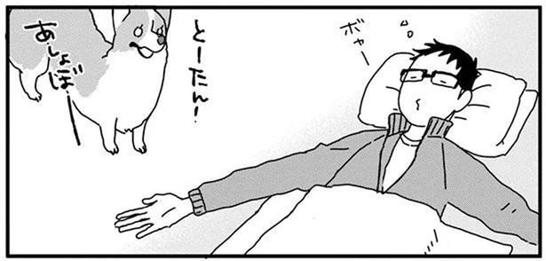 これはラクかも！うちのワンコが気に入ったボール遊び