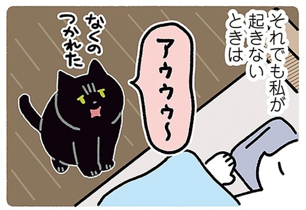モーニング・コール失敗!?起きない飼い主に容赦しない黒猫ろん