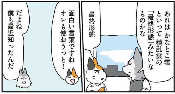 面白い言葉ですね