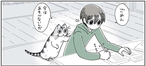 「ごめん、我慢してくれ」遊びたそうに甘えてくる猫に飼い主が陥落するまで