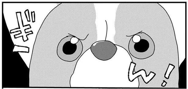 鋭い目つきでおやつを狙う愛犬に、飼い主が冷静にツッコミ！