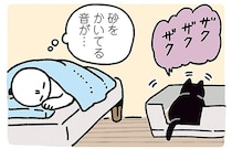 寝ている飼い主にもしっかり報告。黒猫ろんの忠実な「ニャーン！」