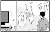 またボール失くしたの？ワンコが遊んだボールの行方